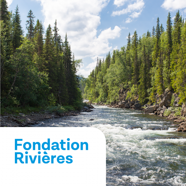 Fondation-Riviere Fondation Riviere