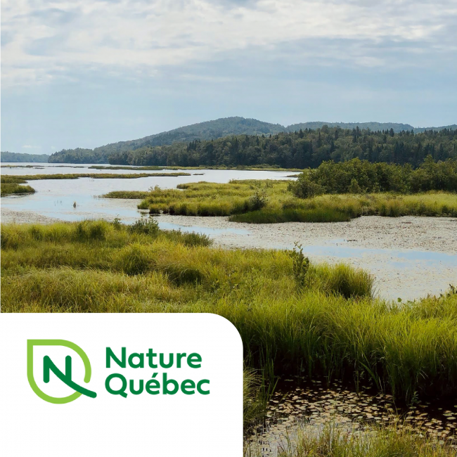 Nature-Quebec Nature Quebec