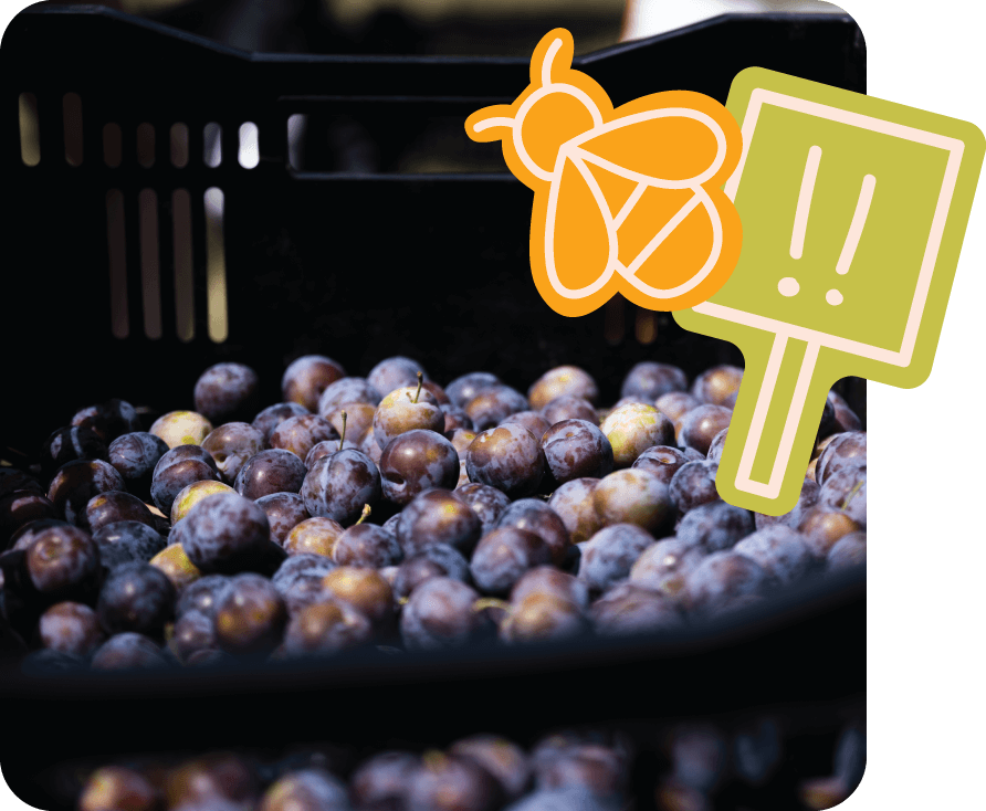 Crédit photo : © Nicolas le Berre