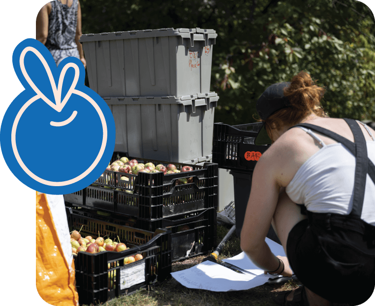 Crédit photo : © Nicolas le Berre