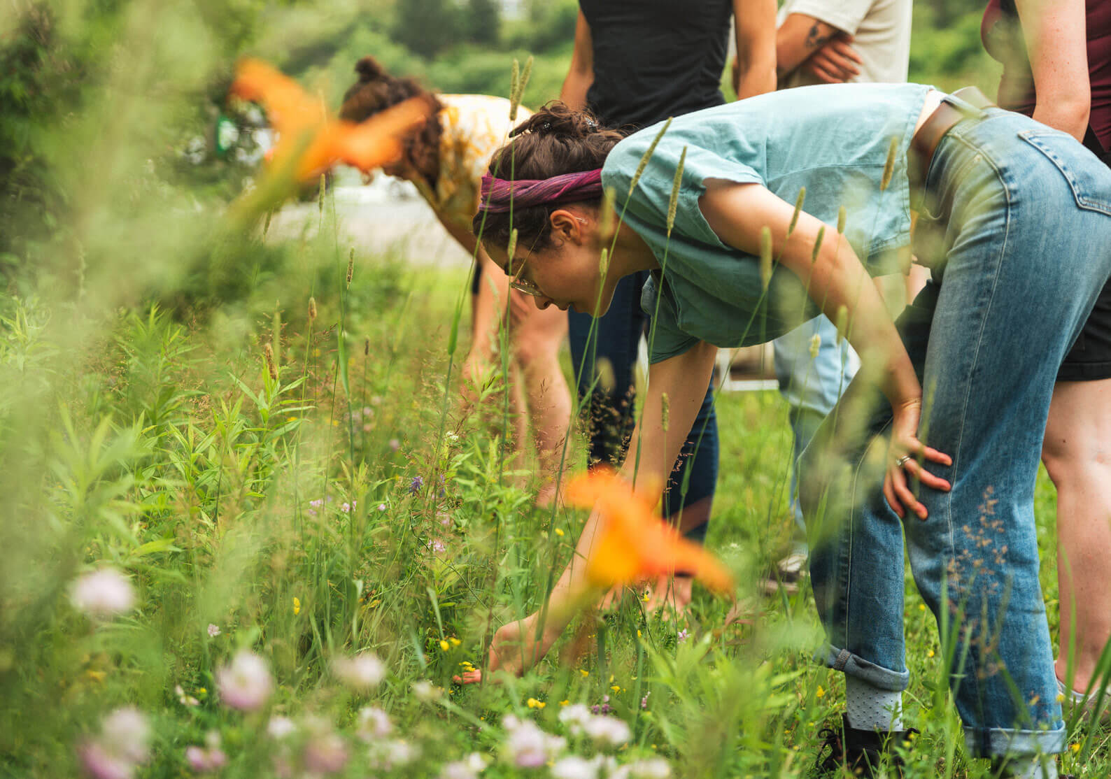 Crédit photo : © Mathieu B. Morin